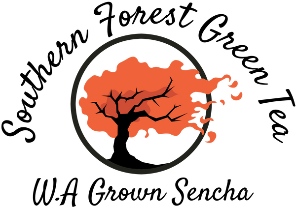 Southern Forest Green Tea