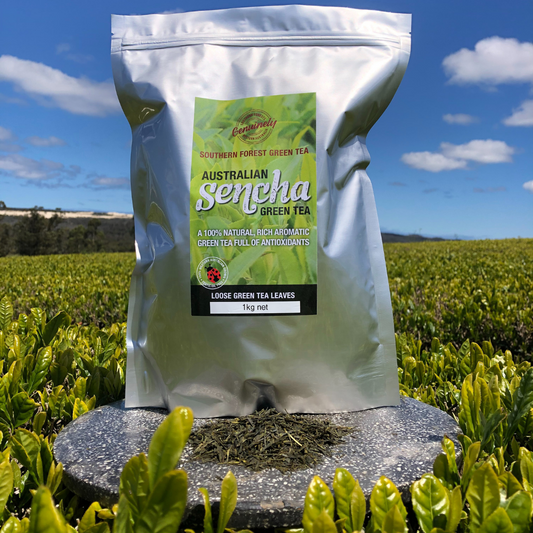 Cs Tea Loose Leaf Tea – Southern Forest Green Tea
