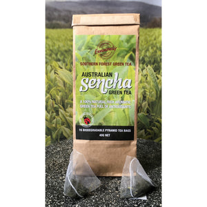 16 Biodegradable Pyramid Sencha Green Tea Bags 40g