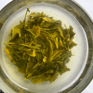 500g Loose Leaf Sencha Green Tea